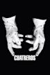 Cuatreros