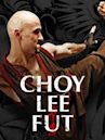 Choy Lee Fut (film)