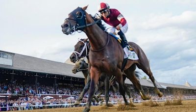 Haskell Stakes 2024 predictions, picks, odds, post time: Surprising bets from expert who nailed Kentucky Derby