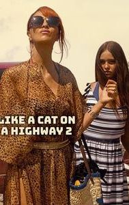 Like a Cat on a Highway 2