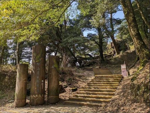 凱米颱風來襲 內洞、滿月圓、東眼山...等森林遊樂區7/24起休園