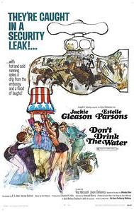 Don't Drink the Water (1969 film)