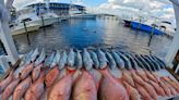 Florida fishing: Cool fronts can push fish south during the fall like bluefish, mackerel