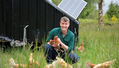 How farmers are embracing environment restoration: ‘I kind of live for the corncrake’