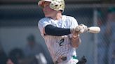 Max Milkovich, Devon Lehman, Matt Large lead STVM to district semifinal win over Holy Name