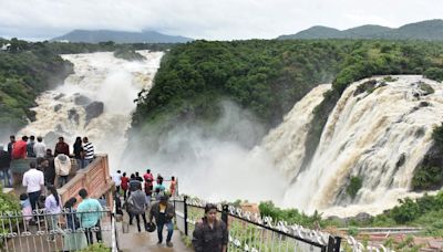Mysuru: Monsoon tourism gains traction as rivers overflow