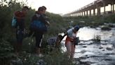 Top CDC scientist said data did not support border expulsions