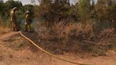 Person of interest detained after grass fire near American River in Sacramento County