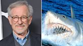 Steven Spielberg Says He Regrets How Jaws Caused 'Decimation of the Shark Population'