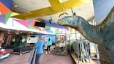 Lost world: Interactive 'Dinosaurs' exhibition roars into Imaginarium for summer