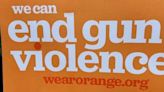 Wear Orange Weekend: Advocates, city leaders stress need for gun violence prevention around Hudson Valley