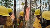 Incendio en Chun Ek suma 2 mil 500 hectáreas siniestradas