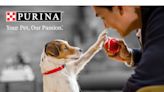 Purina says claim of 10-pack of dog food for less than $2 is online scam | Fact check