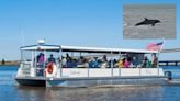 Jekyll Island Dolphin Tours recognized on Tripadvisor’s 2023 Travelers’ Choice Best of the Best