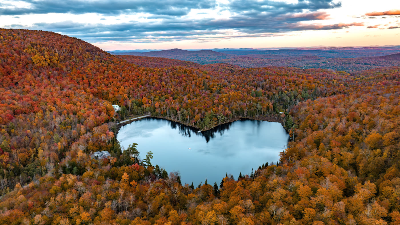 Happy Arbor Day! These 20 books will change the way you think about trees