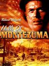 Halls of Montezuma (film)