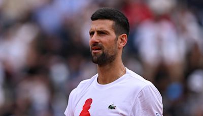 Novak Djokovic 'fine' after being hit in the head by water bottle at Italian Open
