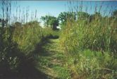 Tallgrass Prairie National Preserve