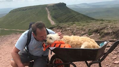 陪你看最後風景 英國狗主以手推車帶血癌愛犬同登山峰圓心願