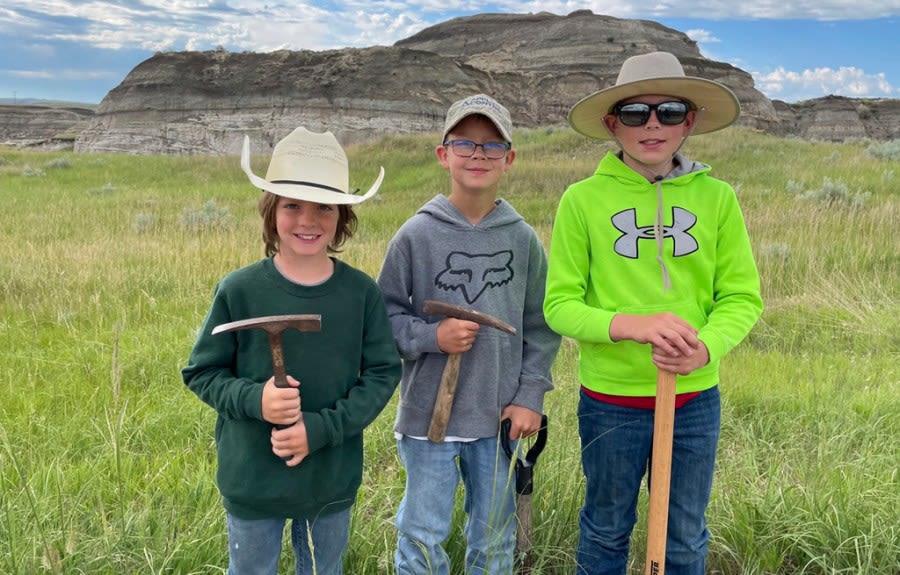 Three boys found a T. rex fossil. Now a museum is working to fully reveal it