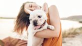 4 Affordable Stores To Get the Best Deals on Your Pet Care