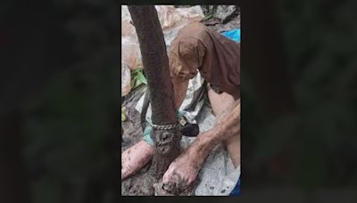 美國女子在印度森林獲救 右腳被鎖