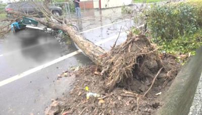 中南部連日大雨 彰化和高雄路樹倒塌釀2死