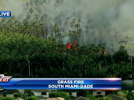 Grass fire in South Miami-Dade closes southbound lanes of Turnpike at 248th St - WSVN 7News | Miami News, Weather, Sports | Fort Lauderdale