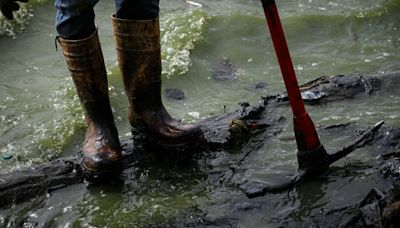 Oil-tainted lake a symptom, and symbol, of Venezuela's collapse