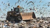 Recycling is popular, so why is New Hanover County's landfill filling up so quickly?