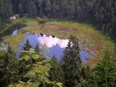 Black Forest National Park