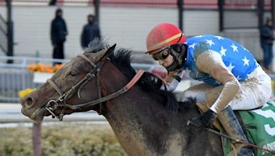 Jockey Cory Orm Facing 'Long Recovery' After Spill At Fairmount Park