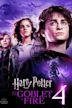 Harry Potter and the Goblet of Fire (film)