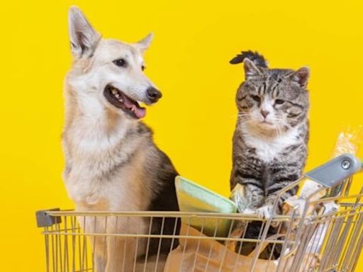 Seeing Silicon | The ultimate battle between dogs and cats for VC money