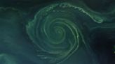 Earth from space: Ethereal algal vortex blooms at the heart of massive Baltic 'dead zone'