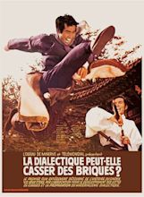 Radical French Philosophy Meets Kung-Fu Cinema in Can Dialectics Break ...