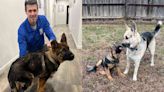 German Shepherd Puppy Surrendered By Mississippi Breeder Gets Prosthetic Paw And “Perfect” Home