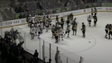 Wild OHL brawl between Brantford, Peterborough yields multiple suspensions and fines