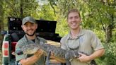 Is that a Gator? Tennessee wildlife agents make unexpected discovery near creek