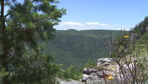 Neighbors want hikers’ access to private road blocked due to traffic volume