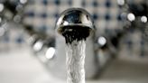 Government urged to act over concerns of ‘forever chemicals’ in drinking water