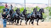 Western States Classic draft horse show is this weekend