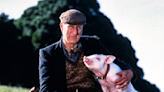 ‘Babe’ Star James Cromwell Helps Save a Real Baby Pig from Slaughter, Names the Abandoned Piglet Babe