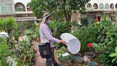 凱米後登革熱蠢動 台南開出846張舉發單、住家違規最多 - 生活