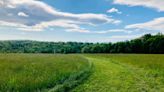 Wizard Ranch Nature Preserve in Hellam Township opens to the public with 2 hiking trails