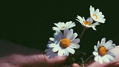 Las flores y su impacto positivo en el bienestar y las emociones