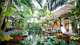 La historia del shopping de los ricos y famosos en el rincón más exclusivo de Miami