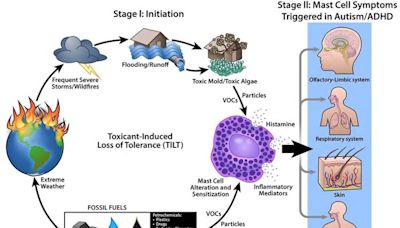 Parental avoidance of toxic exposures could help reduce risk of autism, ADHD in children, observational study suggests