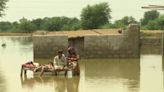 Displaced Pakistanis are distraught after the floods.