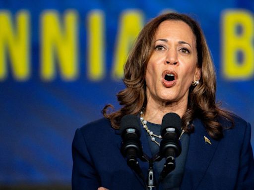 En un minuto: Kamala Harris critica las falsas afirmaciones de Donald Trump sobre su raza